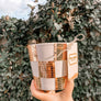 Checkered Disco Planter | 5 Inch Trendy Planters | Retro