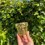 Mini Disco Planter | 2.3 Inch Disco Pot Gift Plant Lovers