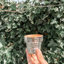 Mini Disco Planter | 2.3 Inch Disco Pot Gift Plant Lovers