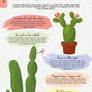 Please don't die - houseplants