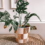 Checkered Disco Planter | 5 Inch Trendy Planters | Retro
