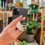 Rare Houseplant Phone Grip | Cellphone Accessory: Variegated Homalomena