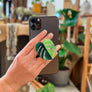 Rare Houseplant Phone Grip | Cellphone Accessory: Variegated Homalomena