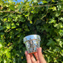 Mini Disco Planter | 2.3 Inch Disco Pot Gift Plant Lovers
