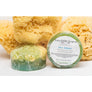 Coco Cabana Sea Sponge