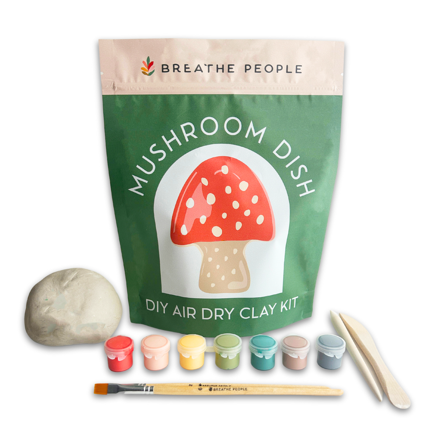 DIY Air Dry Clay Kit- Make Your Own Mushroom Dish