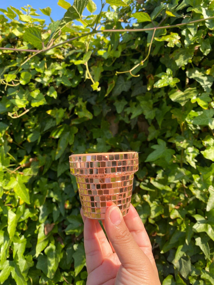 Mini Disco Planter | 2.3 Inch Disco Pot Gift Plant Lovers
