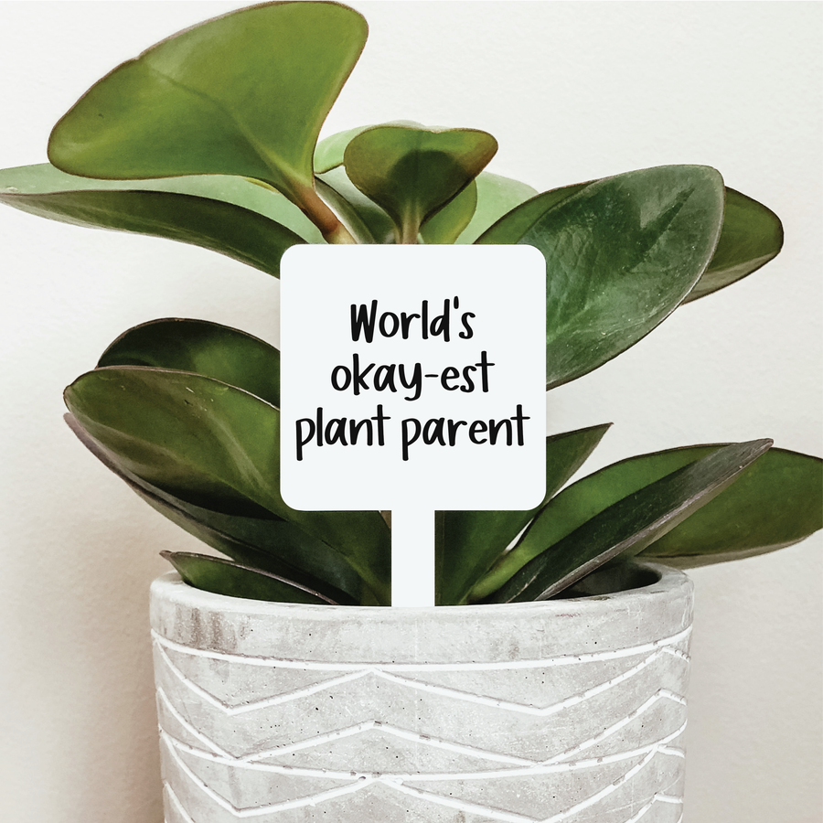 World's Okay-est Plant Parent Plant Stake