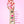 Strawberry Fields 7-Day Set | Limited Edition