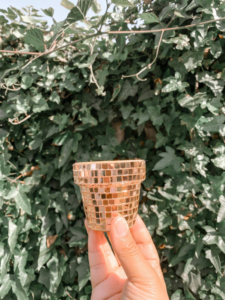 Mini Disco Planter | 2.3 Inch Disco Pot Gift Plant Lovers