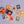 Trick Or Treat Pets Memory Card Game