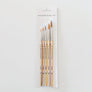 Watercolor paintbrush set of five wood brushes