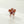 Blossom | Mini Flower Claw Clip