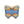 Curious Critters Butterfly Activity Kit