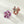 Blossom | Mini Flower Claw Clip