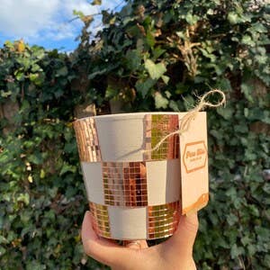 Checkered Disco Planter | 5 Inch Trendy Planters | Retro