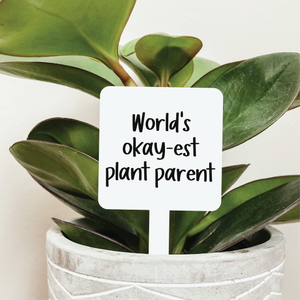 World's Okay-est Plant Parent Plant Stake