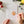 Fruit paintable watercolor notecard set