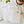 Potted plants paintable notecards