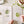 Emily Lex Garden watercolor workbook