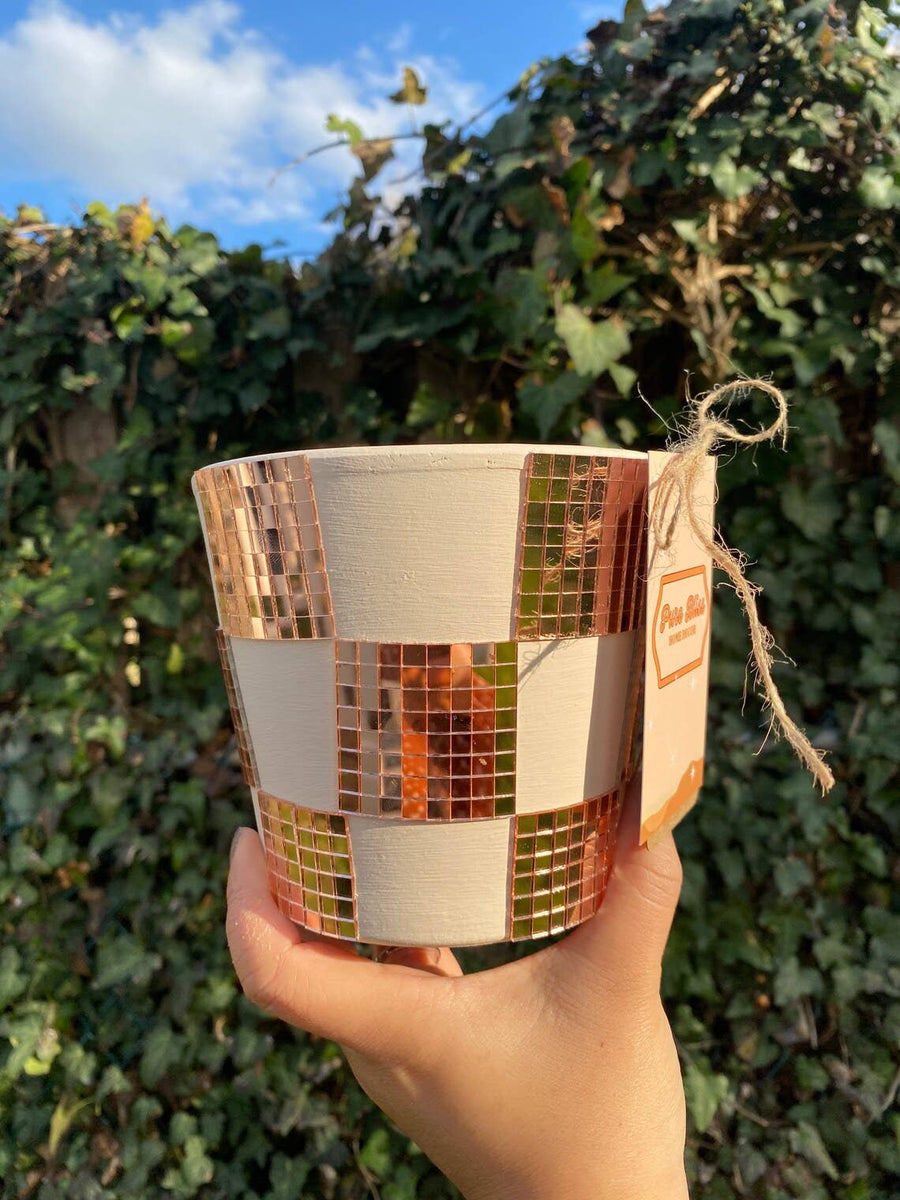 Checkered Disco Planter | 5 Inch Trendy Planters | Retro