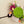 Garden KidDough Play Kit