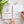Spring watercolor workbook