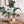 Checkered Disco Planter | 5 Inch Trendy Planters | Retro