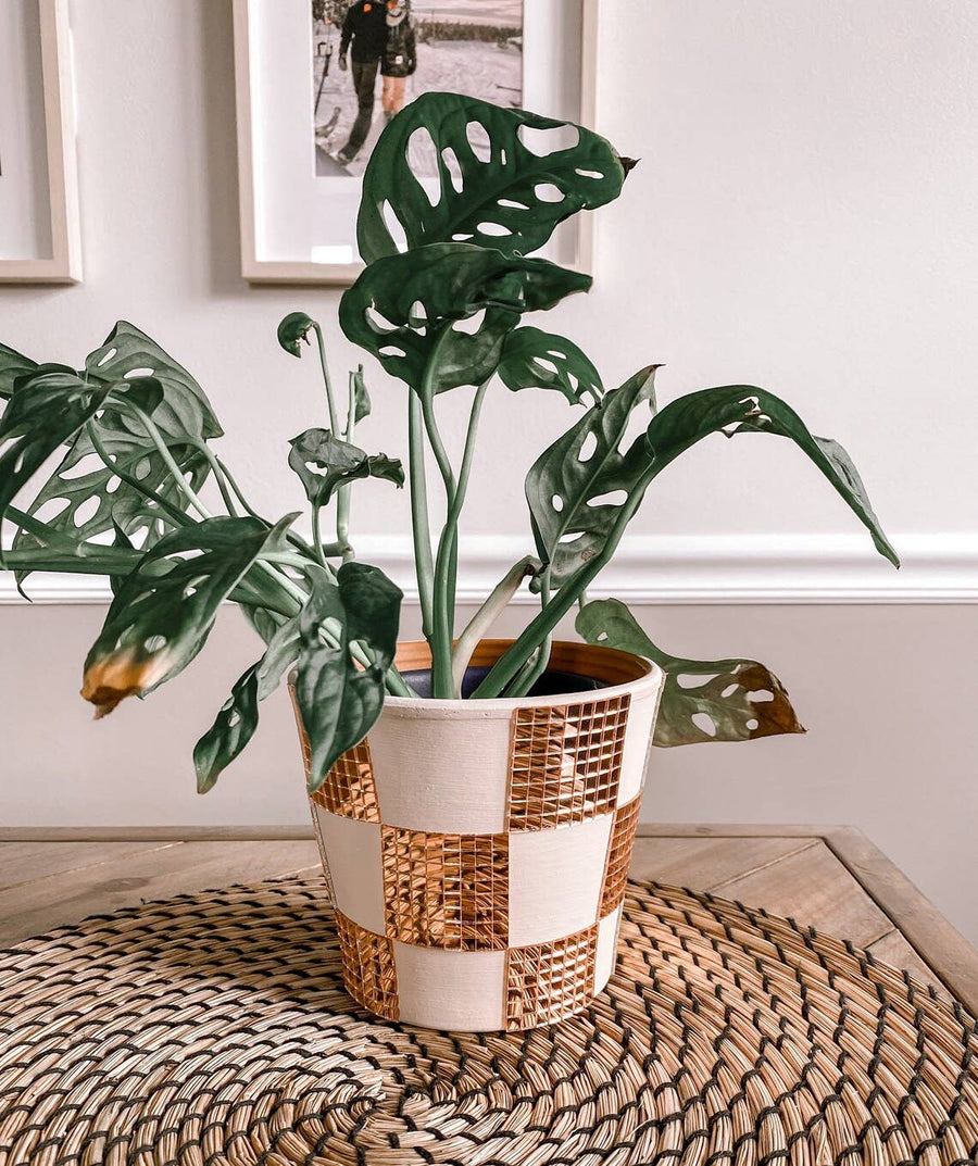 Checkered Disco Planter | 5 Inch Trendy Planters | Retro