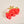 Shape Up Claw Clip-Strawberry Patch