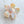 Jasmine | Multicolor Medium Flower Eco-Friendly Claw Clip: Assorted