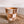 Checkered Disco Planter | 5 Inch Trendy Planters | Retro