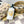 Goldilocks Shampoo & Conditioner - Pet