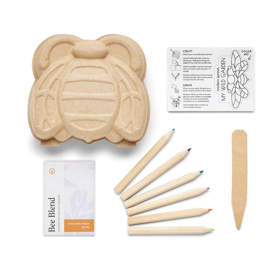 Curious Critters Bee Activity Kit