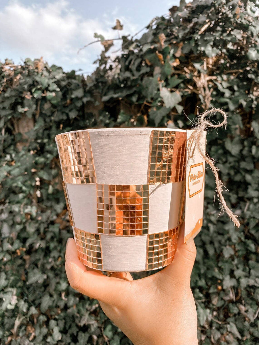 Checkered Disco Planter | 5 Inch Trendy Planters | Retro