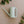 Packer Plant Co Watering Can | 1.2L | Houseplant Accessory: Seafoam
