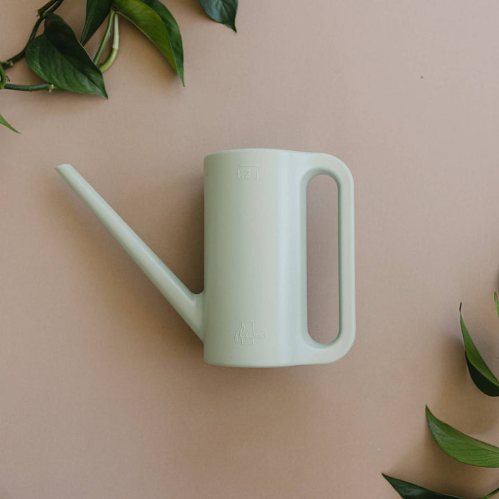 Packer Plant Co Watering Can | 1.2L | Houseplant Accessory: Seafoam