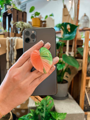 Rare Houseplant Phone Grip | Cellphone Accessory: Variegated Homalomena