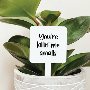 You're Killin' Me Smalls Plant Stake