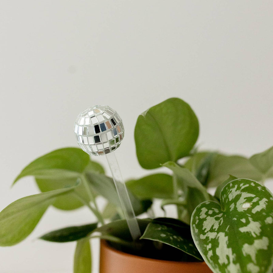 Disco ball plant stick: Plastic Free