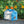 Beetle & Bee Critter Case FSC Certified Wood-Outdoor Play
