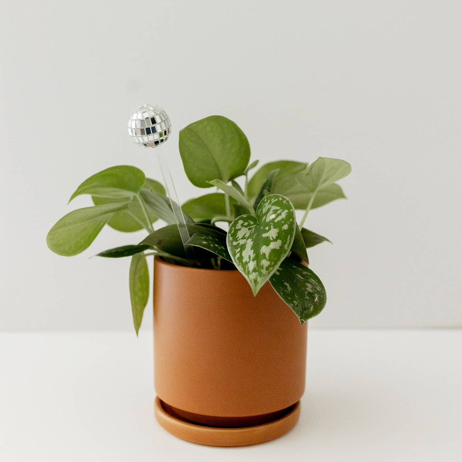 Disco ball plant stick: Plastic Free