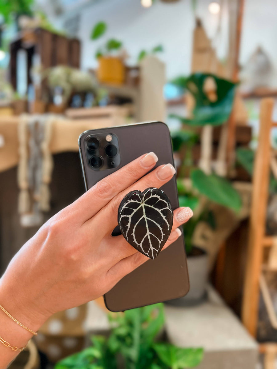 Rare Houseplant Phone Grip | Cellphone Accessory: Monstera Albo