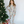 Mary Square Kids 2 Piece Nutcracker Pajama Set
